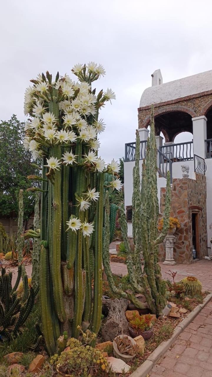 Villa Contessa Beaufort West Exterior photo